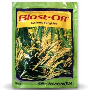 BLAST OFF SYSTEMIC FUNGICIDE