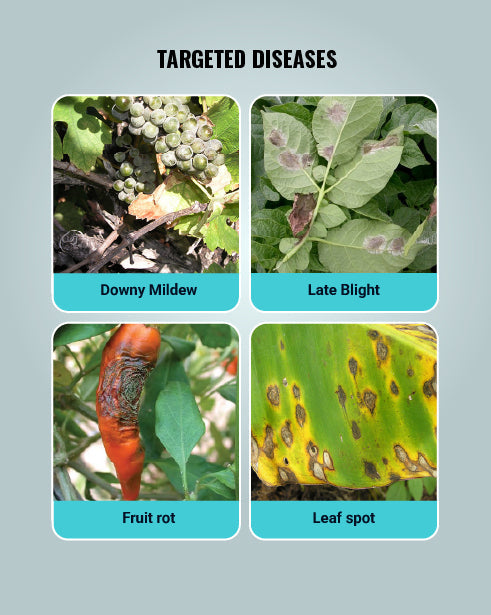 Blue Copper Fungicide