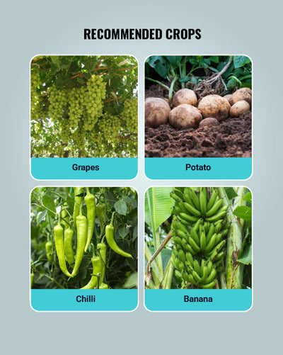 Blue Copper Fungicide