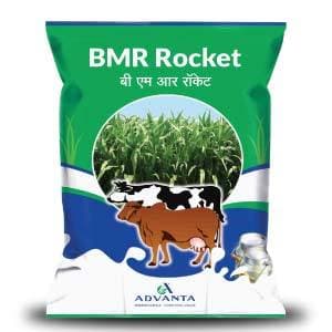 BMR ROCKET FORAGE (बी एम आर रॉकेट फ़ोरेज)