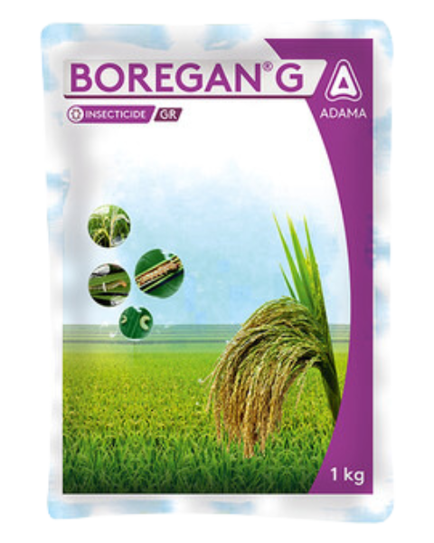 BOREGAN G | INSECTICIDE