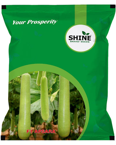 SHINE BOTTLE GOURD APSARA F1 SEEDS