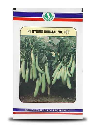 BRINJAL No. 183 SEEDS