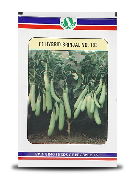 BRINJAL No. 183 SEEDS