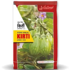 KIRTI BRINJAL