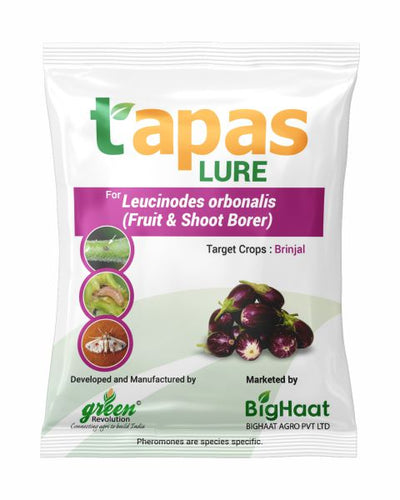 TAPAS BRINJAL FRUIT & SHOOT BORER LURE