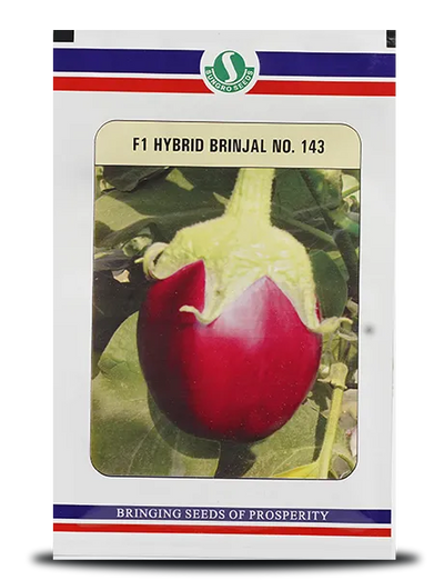 BRINJAL No. 143