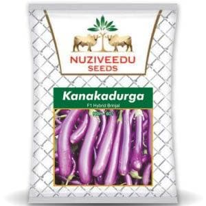 KANAKADURGA BRINJAL