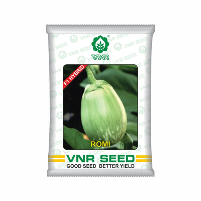 Romi F1 Hybrid Brinjal Seeds