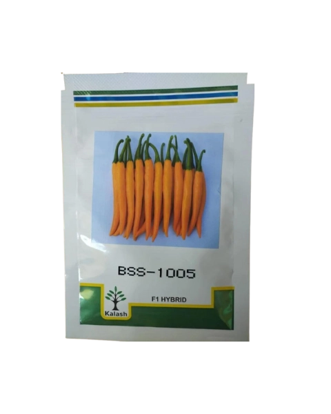 BSS - 1005 (CHILLI)