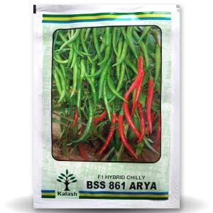 BSS 861 (ARYA) CHILLI