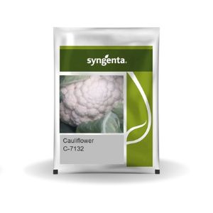 C-7132 CAULIFLOWER ( C-7132 फूलगोभी)