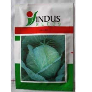 INDUS CABBAGE JUHI HYBRID SEEDS