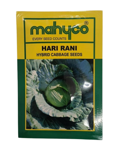 MAHYCO HARI RANI CABBAGE SEEDS