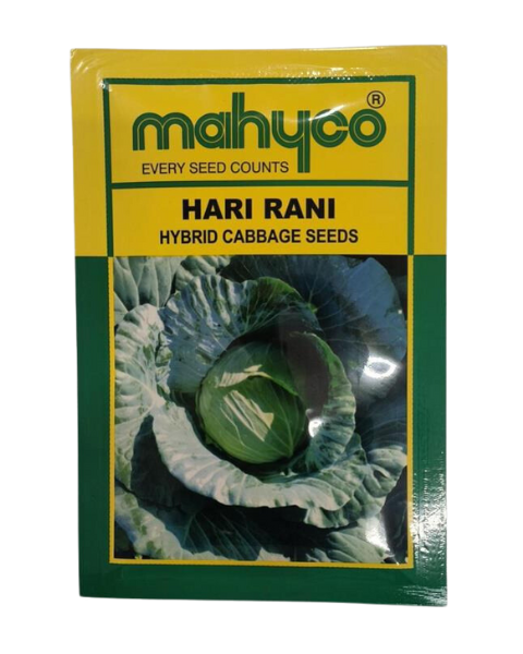 MAHYCO HARI RANI CABBAGE SEEDS