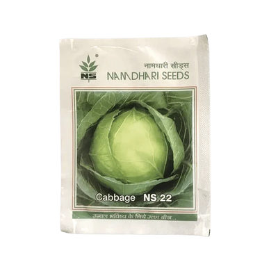 NS 22 Cabbage Seeds