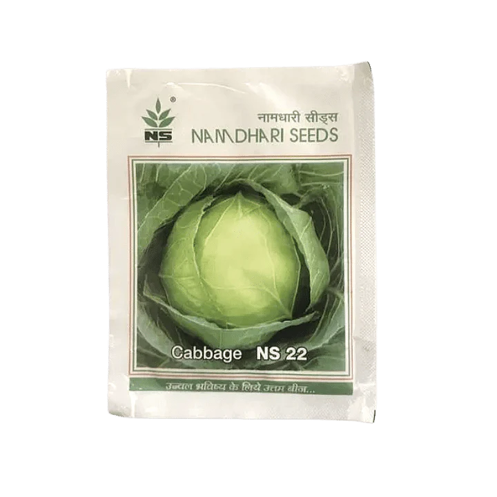 NS 22 Cabbage Seeds