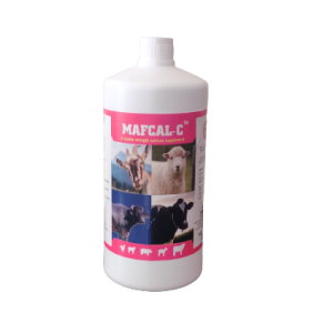 MAF CAL C (CAL FORTE C) (ORAL STRONG CALCIUM, PHOSPHOROUS, VITAMIN D, VITAMIN B & OTHER MINERALS)