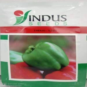 INDUS CAPSICUM 1201 GREEN SEEDS (SHIMLA MIRCH)