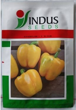 INDUS CAPSICUM 1504 HYBRID YELLOW SEEDS (SHIMLA MIRCH)