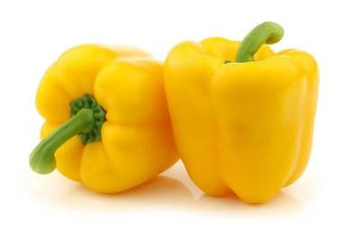 INDUS CAPSICUM 1504 HYBRID YELLOW SEEDS (SHIMLA MIRCH)