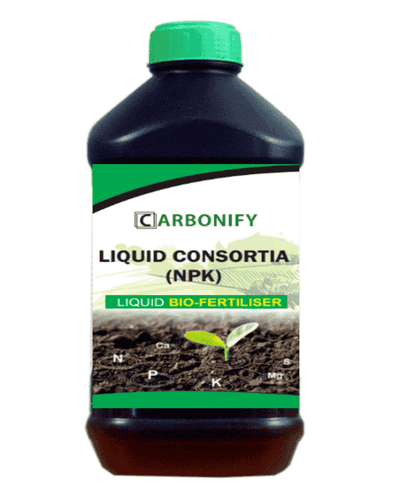 CARBONIFY LIQUID CONSORTIA