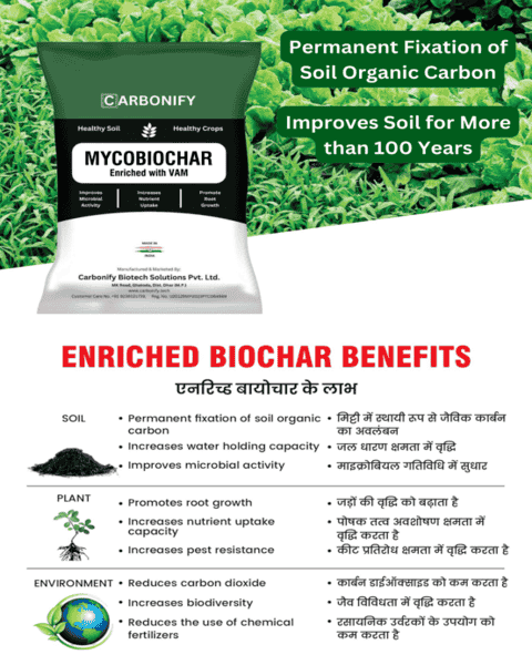 CARBONIFY MYCOBIOCHAR