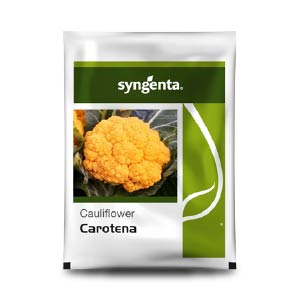 CAROTENA CAULIFLOWER (फूलगोभी)