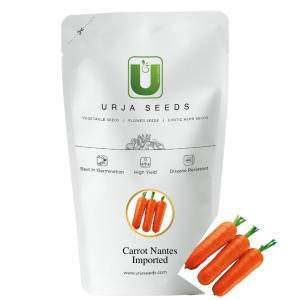 URJA CARROT NANTES IMPORTED