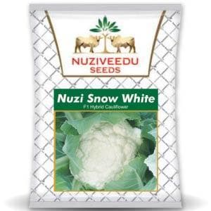 SNOW WHITE CAULIFLOWER