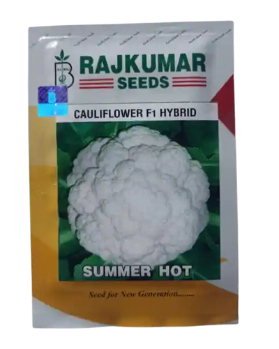 CAULIFLOWER SUMMER STAR - RAJKUMAR SEEDS