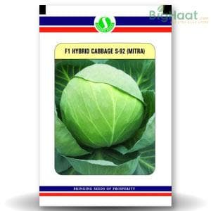 S92 (MITRA) CABBAGE