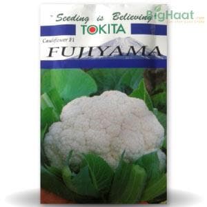 FUJIYAMA CAULIFLOWER SEEDS