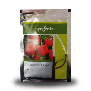 CELIN CAPSICUM