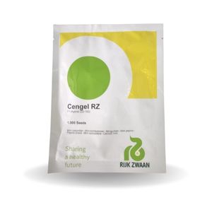 CENGEL RZ F1 (22-193) CUCUMBER