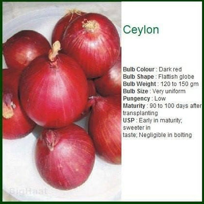 CEYLON ONION