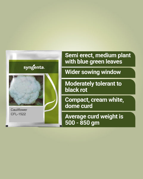CFL 1522 Cauliflower Seeds