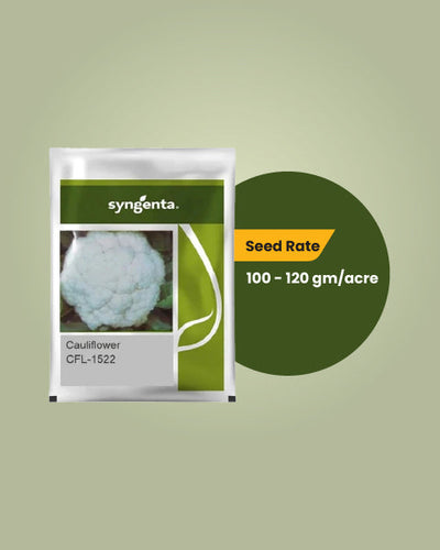 CFL 1522 Cauliflower Seeds