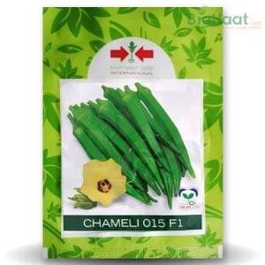 CHAMELI 015 F1 BHENDI (OKRA)