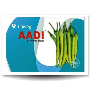 AADI CHILLI SEEDS (आदि )