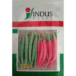 INDUS CHILLI DEVA F1 HYBRID SEEDS