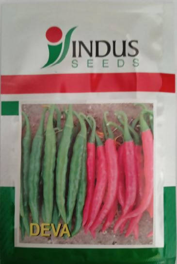 INDUS CHILLI DEVA F1 HYBRID SEEDS