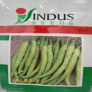 INDUS CHILLI JALSA 3 HYBRID SEEDS