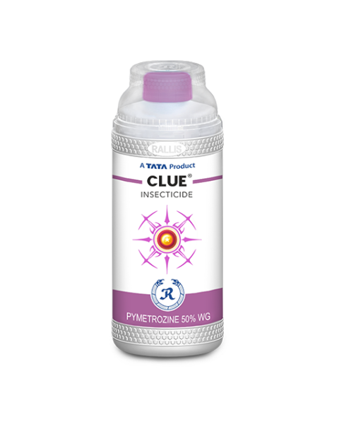 Clue Insecticide