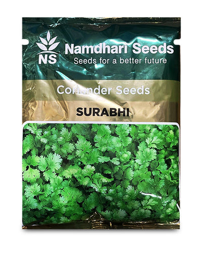 Surabhi Coriander Seeds