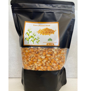 PIONEER AGRO CORN SEED/ MAIZE SEED