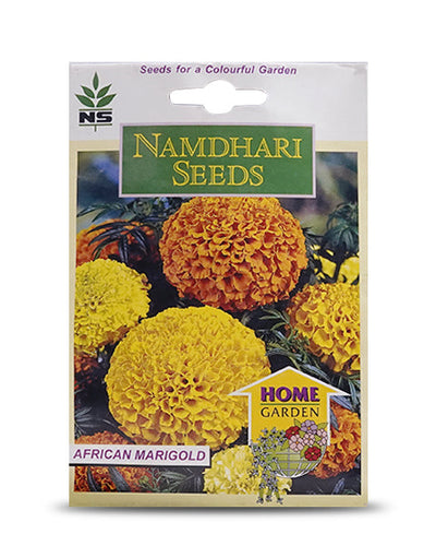 CRACKER JACK MIX MARIGOLD