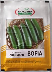 SAFAL BIO CUCUMBER SOFIA F1 SEEDS