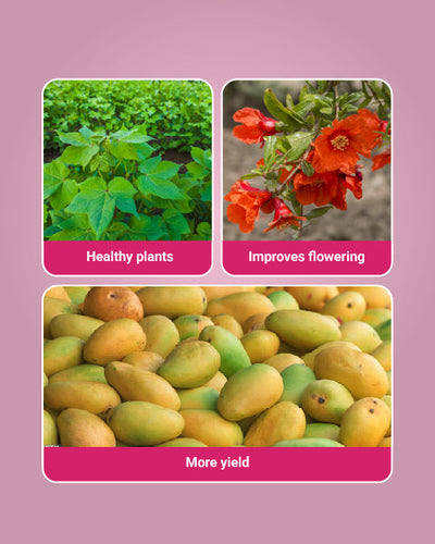 Cultar Plant Growth Regulator