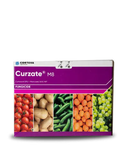 CURZATE FUNGICIDE (CYMOXANIL 8% + MANCOZED 64% WP)